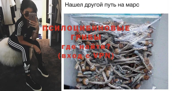 гашик Заволжье