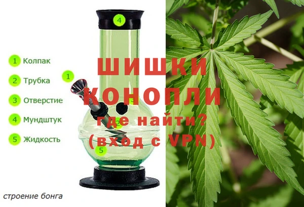 spice Заводоуковск