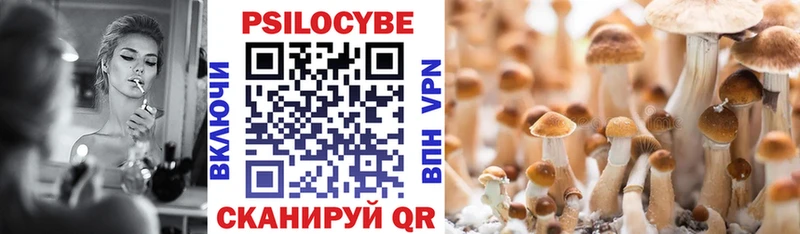Галлюциногенные грибы Magic Shrooms  Черногорск 
